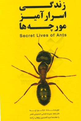 زندگی اسرارآمیز مورچه‌ها