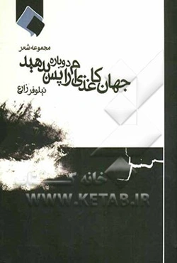 جهان کاغذی‌ام را دوباره پس بدهید (مجموعه شعر)