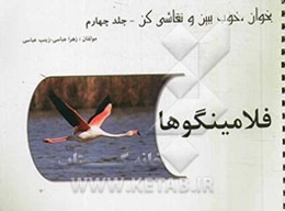 بخوان، خوب ببین و نقاشی کن: فلامینگوها