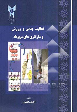 فعالیت بدنی و ورزش و سازگاری‌های مربوطه