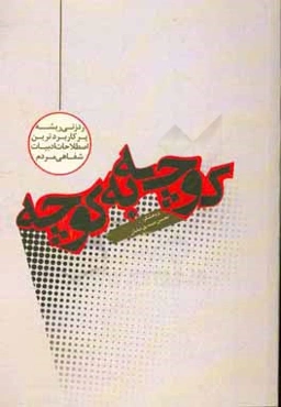 کوچه به کوچه: ردزنی ریشه‌های پرکاربردترین اصطلاحات ادبیات شفاهی مردم