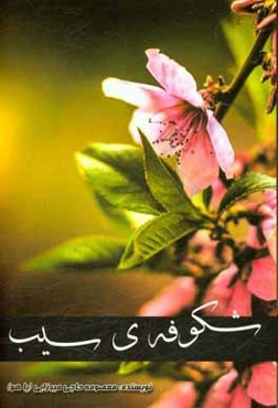 شکوفه‌ی سیب