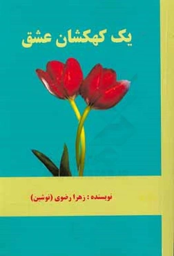 یک کهکشان عشق