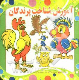 آموزش شناخت پرندگان