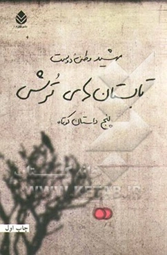 تابستان‌های ترش: پنج داستان کوتاه