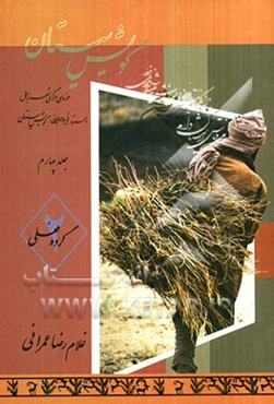 گویش سیستان: حوزه‌ی مرکزی شهر زابل، دستور توصیفی گویش سیستان: گروه فعلی 2