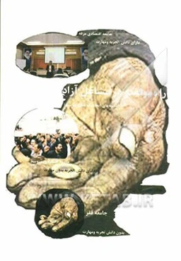 راه موفقیت در مشاغل ازاد: شیوه‌های ایجاد یک شغل مناسب