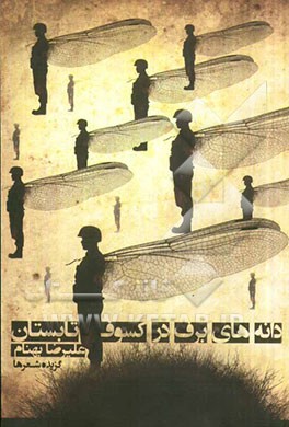 دانه‌های برف در کسوف تابستان: گزیده شعرها 1391 - 1369