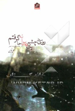 روزی در چشم یک دیوانه جاگرفتم