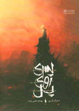 پسری روی پل