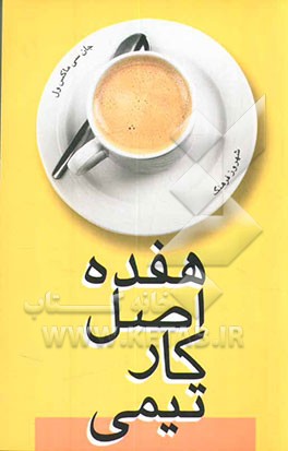 17 اصل کار تیمی