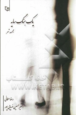 یک هنگ سایه (مجموعه شعر)