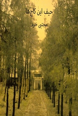 حیف این کاج‌ها