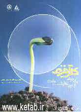 کارآفرینی، یک جرعه از بی‌نهایت