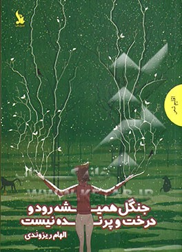 جنگل همیشه رود و درخت و پرنده نیست: مجموعه شعر