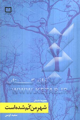 شهر من گم شده است (داستان‌هایی از غربت