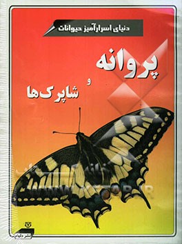 پروانه و شاپرک‌ها
