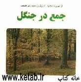 جمع در جنگل