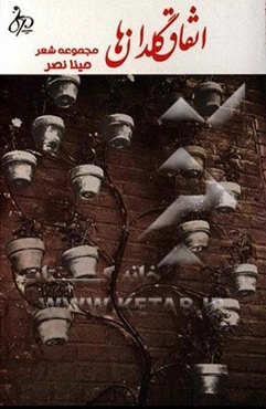 اتفاق گلدان‌ها: مجموعه شعر