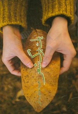 یک برگ شعر: مجموعه اشعار