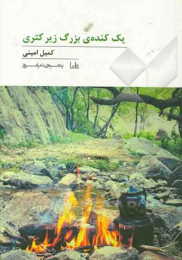 یک کنده‌ی بزرگ زیر کتری