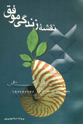 نقشه زندگی موفق