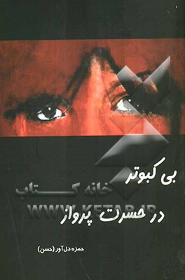 بی کبوتر در حسرت پرواز