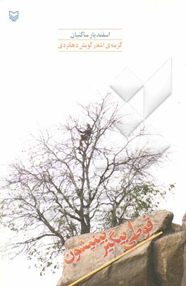 قوطی بیگیر بینیشون: گزینه‌ی اشعار گویش دهکردی