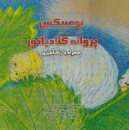 بومبیکس پروانه گلادیاتور