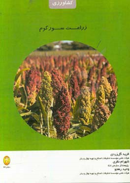 زراعت سورگوم