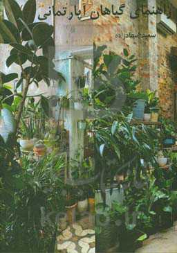 راهنمای گیاهان آپارتمانی: نام علمی، شرایط نگهداری، بیماری‌ها، نحوه تکثیر