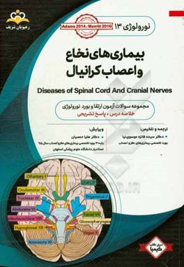 نورولوژی: بیماری‌های نخاع و اعصاب کرانیال: مجموعه سوالات آزمون ارتقاء و بورد نورولوژی با پاسخ تشریحی کتاب آمادگی آزمون ارتقاء و بورد 98