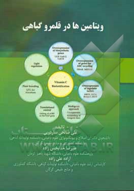 ویتامین‌ها در قلمرو گیاهی