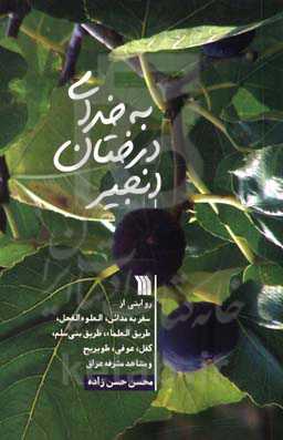 به خدای درختان انجیر: روایتی از سفر به مدائن، العلوه‌الفحل، طریق العلماء، طریق بنی‌سلم، کفل، عوفی، طویریج و مشاهد مشرفه عراق