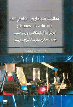 فعالیت ضد قارچی گیاه ترشک (Rumex alveolatus) (در شرایط آزمایشگاهی و بررسی آسیب وارده با میکروسکوپ الکترونی روبشی)