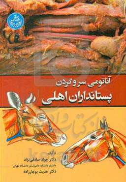 آناتومی سر و گردن پستانداران اهلی