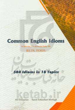 Common English idioms: 504 idioms in 18 topics