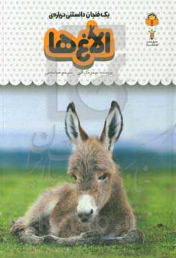 یک فنجان دانستنی درباره‌ی الاغ‌ها