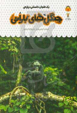 یک فنجان دانستنی درباره‌ی جنگل‌های بارانی