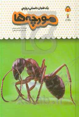یک فنجان دانستنی درباره‌ی مورچه‌ها