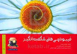 فیبوناچی‌های شگفت‌انگیز