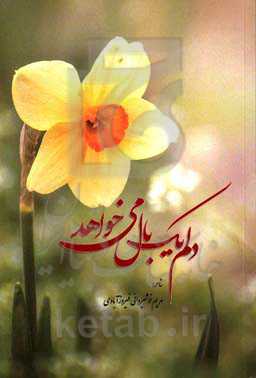 دلم یک بال می‌خواهد