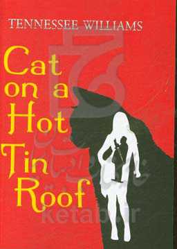 Cat on a hot tin roof