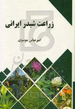 زراعت شبدر ایرانی