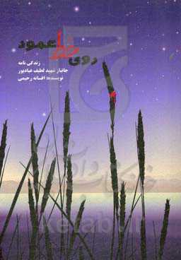 روی خط عمود: خاطرات جانباز شهید لطیف عبادپور