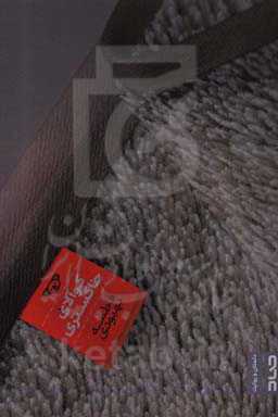 کوآلای خاکستری