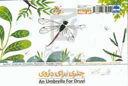 چتری برای دروی