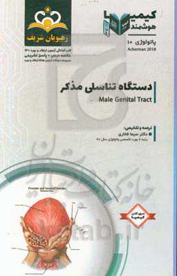 پاتولوژی: دستگاه تناسلی مذکر: خلاصه درس به همراه مجموعه سوالات آزمون ارتقاء و بورد پاتولوژی با پاسخ تشریحی 1400