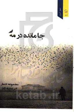 جامانده در مه