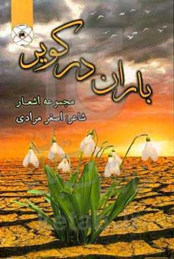 باران در کویر